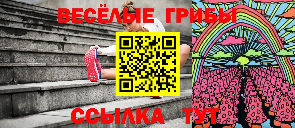 Псилоцибиновые грибы GOLDEN TEACHER Спасск-Дальний